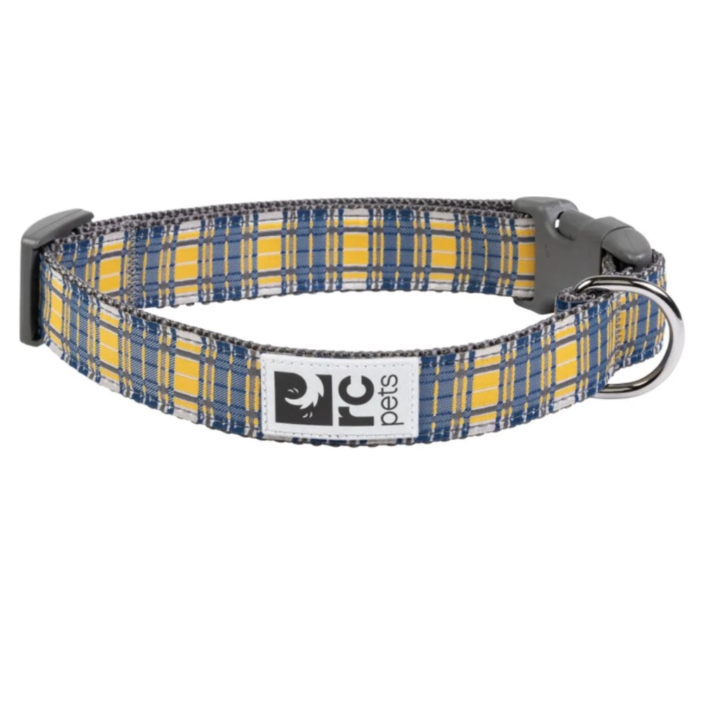 Blue and Yellow Dog Collar